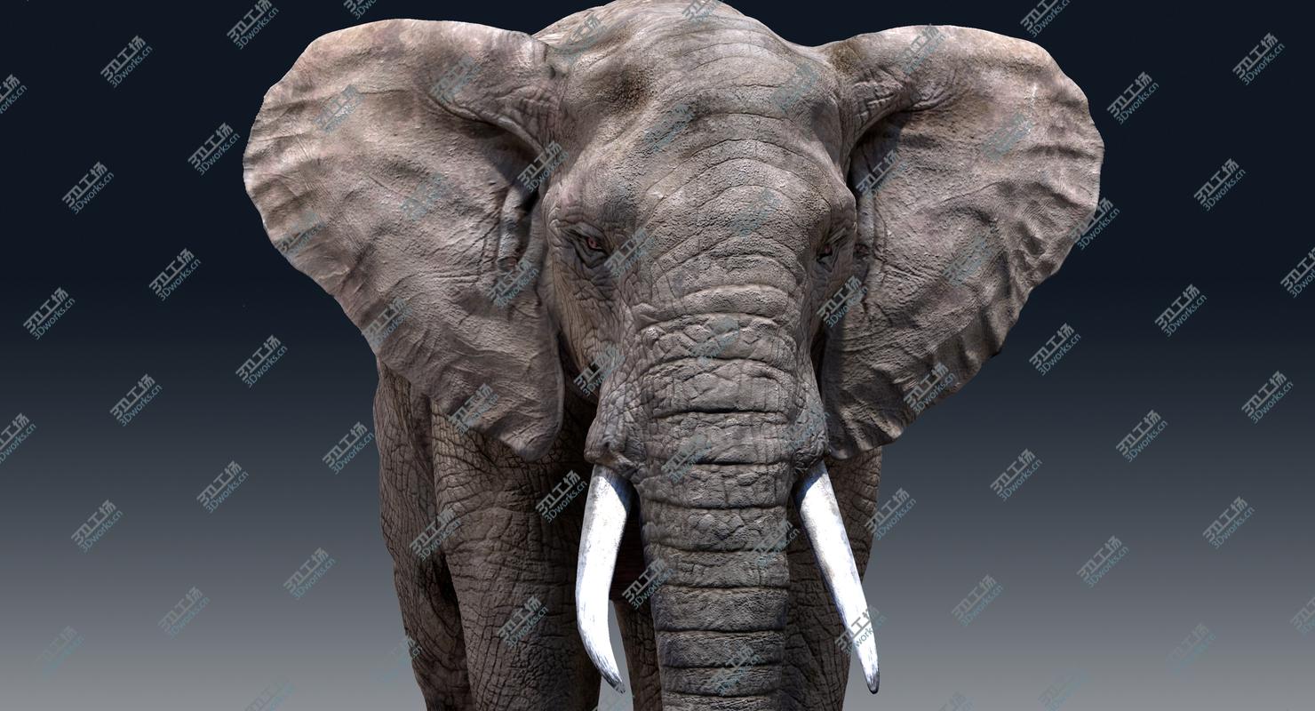 images/goods_img/202104022/Elephant(Rigged) 3D model/5.jpg
